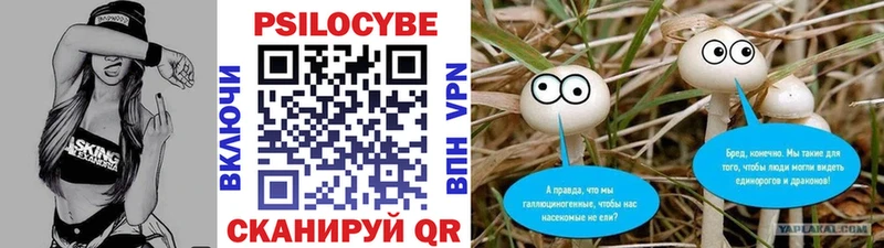 Галлюциногенные грибы GOLDEN TEACHER  blacksprut ONION  Нефтекумск  где найти  